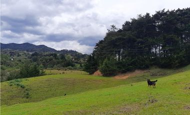 Venta de Lote en el Alto de  Las Palmas