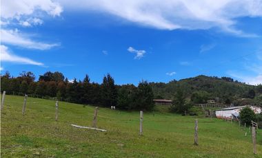 Venta de Lote en el Alto de  Las Palmas