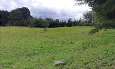 Venta de Lote en el Alto de  Las Palmas