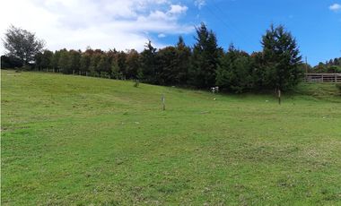 Venta de Lote en el Alto de  Las Palmas