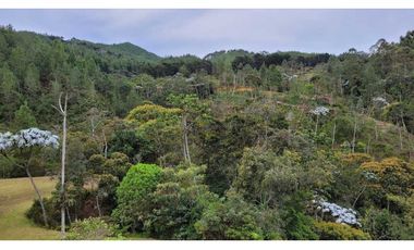 Venta de Lote En El Retiro