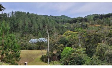 Venta de Lote En El Retiro