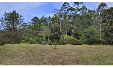 Venta de Lote En El Retiro