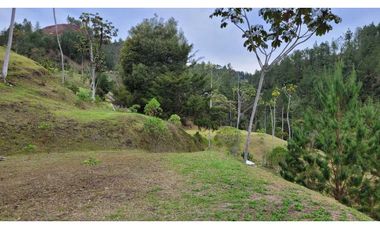 Venta de Lote En El Retiro