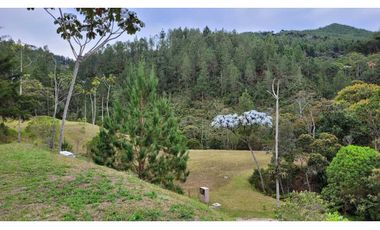 Venta de Lote En El Retiro