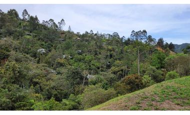 Venta de Lote En El Retiro