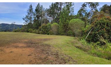 Venta de Lote En El Retiro