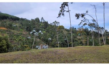 Venta de Lote En El Retiro