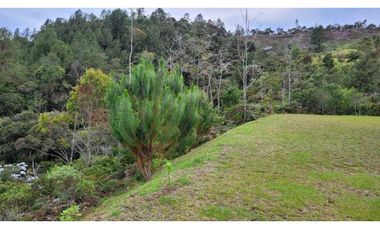 Venta de Lote En El Retiro