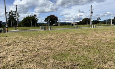 Venta de Lote para bodega Rionegro