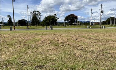 Venta de Lote para bodega Rionegro