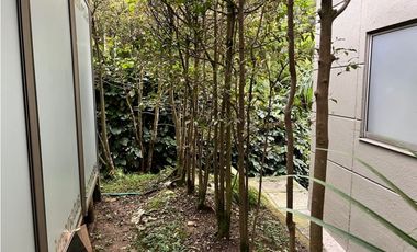 Venta de Oficina en  San Lucas