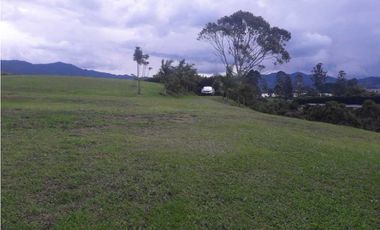 Venta Lote en la Ceja