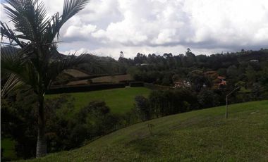 Venta Lote en la Ceja