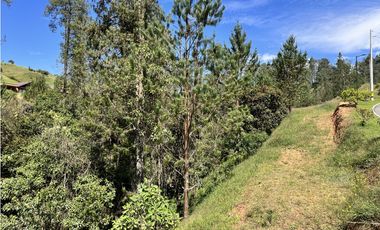 Venta de Lote en el Retiro