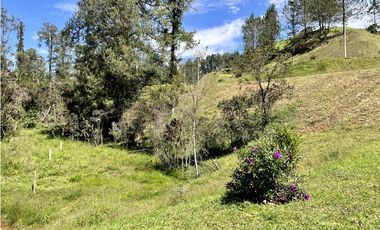 Venta de Lote en el Retiro