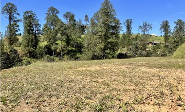 Venta de Lote en el Retiro