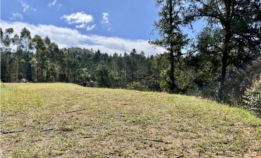 Venta de Lote en el Retiro