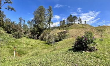 Venta de Lote en el Retiro