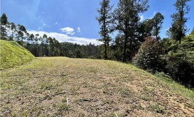 Venta de Lote en el Retiro