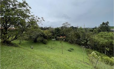 Hermosa finca en la Vía Rionegro - El Carmen