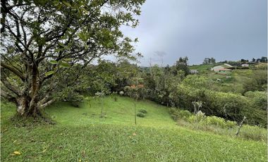 Hermosa finca en la Vía Rionegro - El Carmen