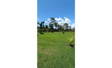 VENDO FINCA DE 7HA CON SALIDA AL MAR