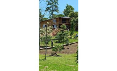 VENDO FINCA DE 7HA CON SALIDA AL MAR