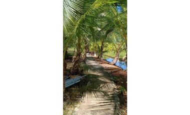 VENDO FINCA DE 7HA CON SALIDA AL MAR