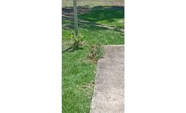 VENDO FINCA DE 7HA CON SALIDA AL MAR