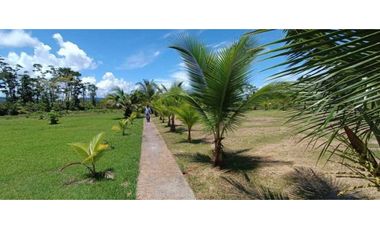 VENDO FINCA DE 7HA CON SALIDA AL MAR