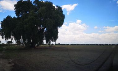 RANCHO AGRICULTOR EN VENTA  SAN MIGUEL DE ALLENDE GUANAJUATO
