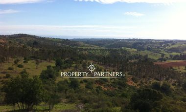 Algarrobo, Las Dichas, Gran parcela en medio del valle.