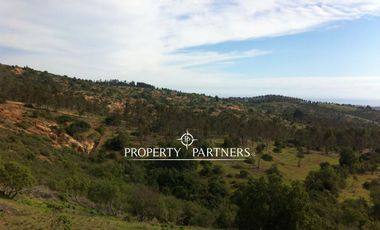 Algarrobo, Las Dichas, Gran parcela en medio del valle.