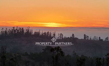 Algarrobo, Las Dichas, Gran parcela en medio del valle.