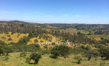 Algarrobo, Las Dichas, Gran parcela en medio del valle.