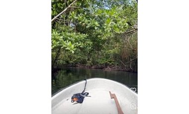 VENDO FINCA DE TRES HECTAREAS - DERECHO POSESORIO