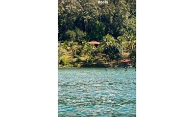 VENDO FINCA DE TRES HECTAREAS - DERECHO POSESORIO