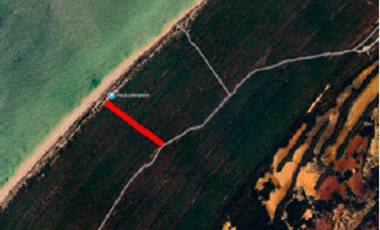 Se Vende Terreno frente a las Playas de Celestún, Yucatán