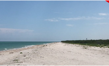 Se Vende Terreno frente a las Playas de Celestún, Yucatán