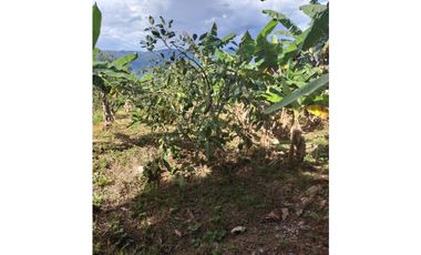 Casa en venta Chaguani