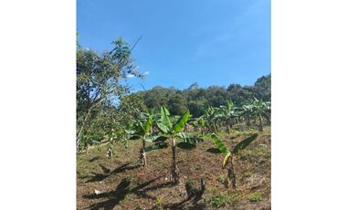 Casa en venta Chaguani