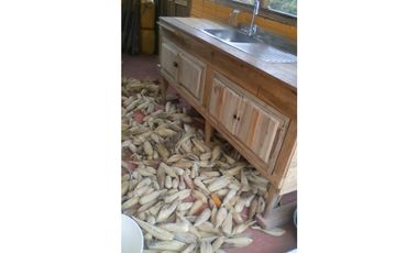 Casa en venta Chaguani