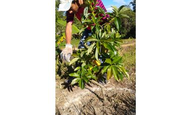 Casa en venta Chaguani