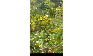 Casa en venta Chaguani