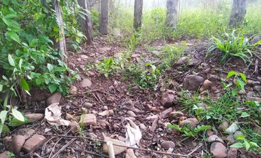 VENDO 2 LOTES UBICADOS EN SAN DIEGO CESAR