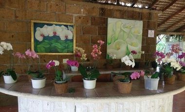 Venta de propiedad con 3 casas