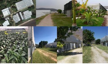 Venta de propiedad con 3 casas