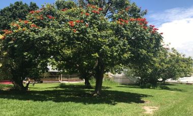 Venta de propiedad con 3 casas