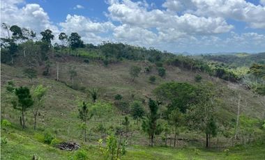 Se vende finca de 40 hectáreas con casa campestre en Capira (DR)